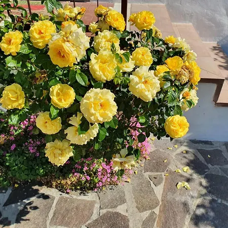 La Casa Di Agnese 3* Bedizzole
